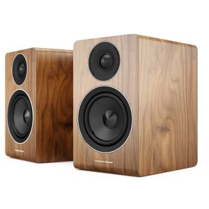 Acoustic Energy AE100