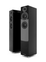 Acoustic Energy AE309