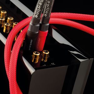 Chord Shawline Analogue RCA
