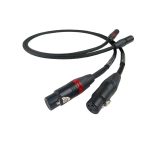Chord SignatureX Tuned ARAY Analogue XLR