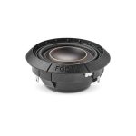 Focal FRAK