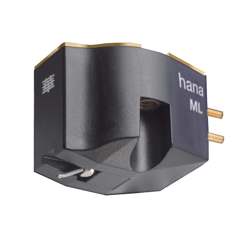 Hana ML Hana ML