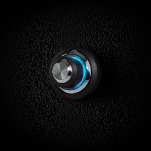 JL Audio DRC-205