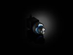 JL Audio DRC-205