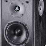 Magnat Monitor S10 D