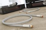 Ricable Primus Signal RCA