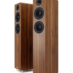 Acoustic Energy AE309 floorstanding speaker