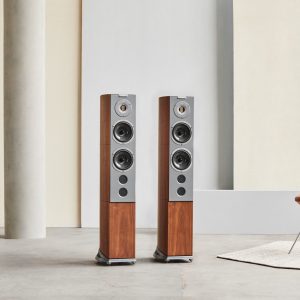 Audiovector R6 Avantgarde floorstanding loudspeaker