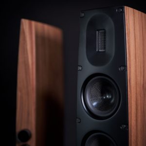 Scansonic Q3 floorstanding speakers